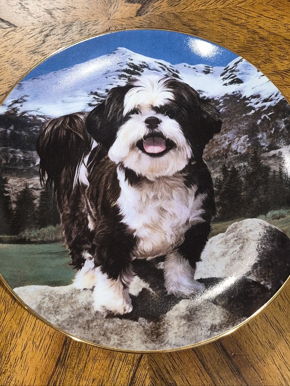 Danbury Mint “King of the Hill” Shih Tzu Collector Plate